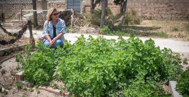 Continúa la mayor exhumación de bebés robados en España en el viejo cementerio de Cádiz