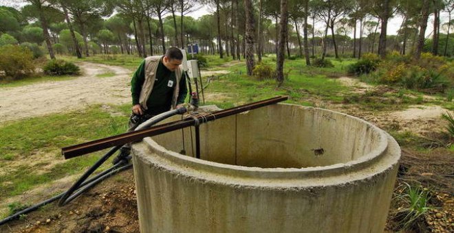 Agresiones a los agentes que controlan los pozos ilegales de Doñana