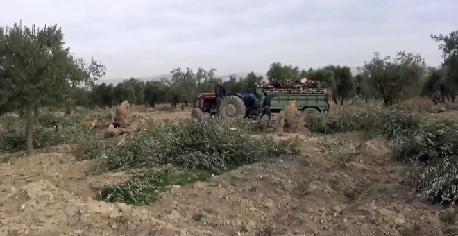 Los kurdos del HDP piden explicaciones al ministro turco de Agricultura sobre el destino español del aceite saqueado en Siria