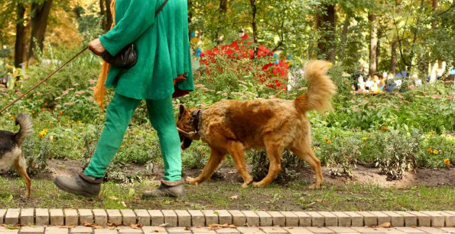 Una prueba de ADN permitirá identificar las heces de los perros y multar a los propietarios incívicos