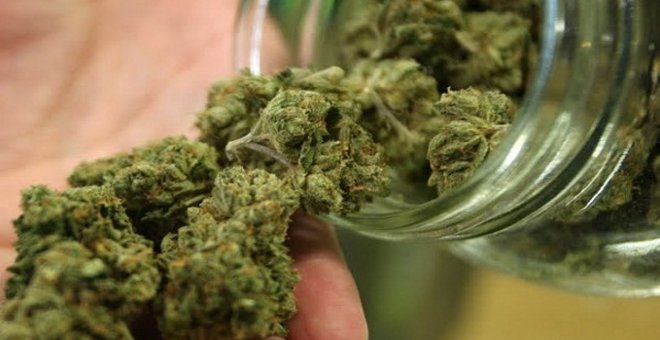 Perú aprueba un reglamento que regula el uso medicinal de la marihuana