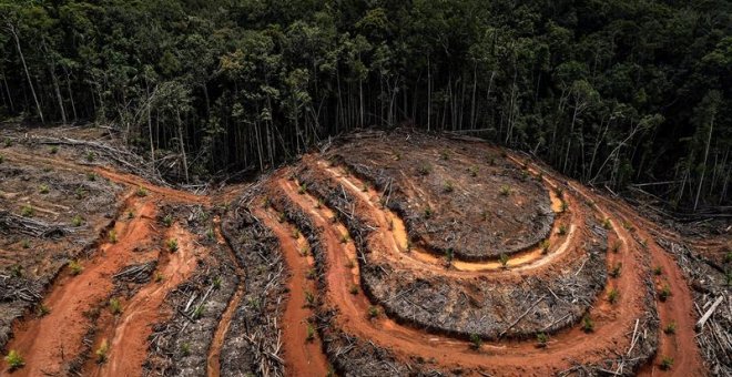 Indonesia afronta una reforma sobre el aceite de palma bajo la sombra de la corrupción