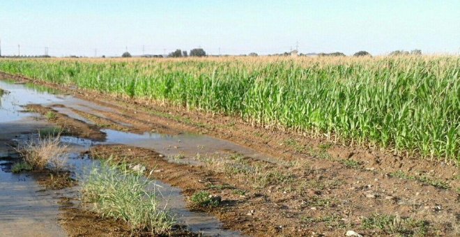 Caminando hacia el colapso hídrico