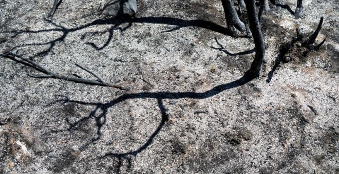 El foc a la Ribera d'Ebre està perimetrat i camí d'estabilitzar-se