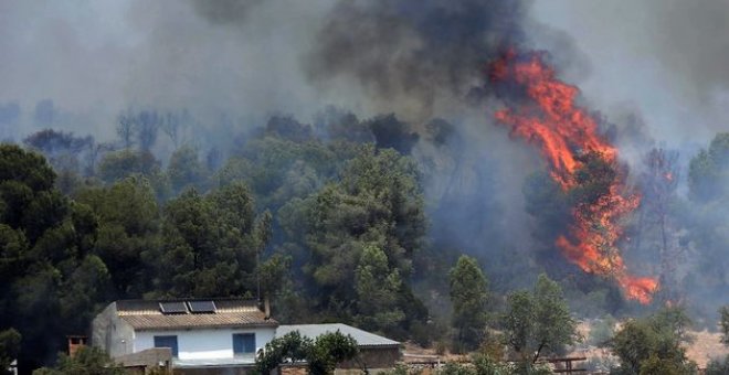 La pérdida de agricultores deja a Catalunya con unos bosques sin cortafuegos naturales