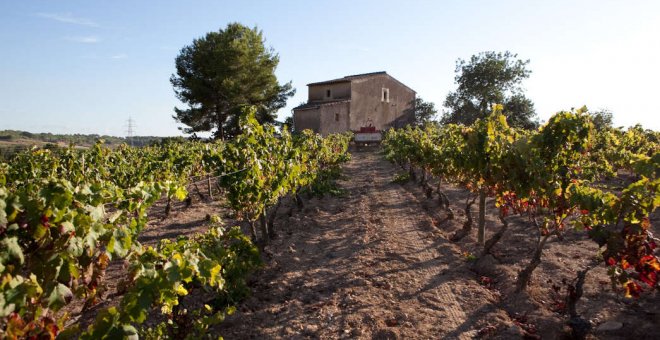 Els aranzels de Trump poden tenir un impacte de 26 milions en les exportacions agroalimentàries catalanes