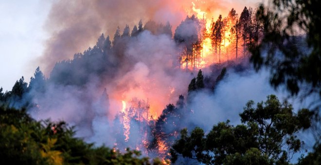 El fuego en Gran Canaria, en imágenes