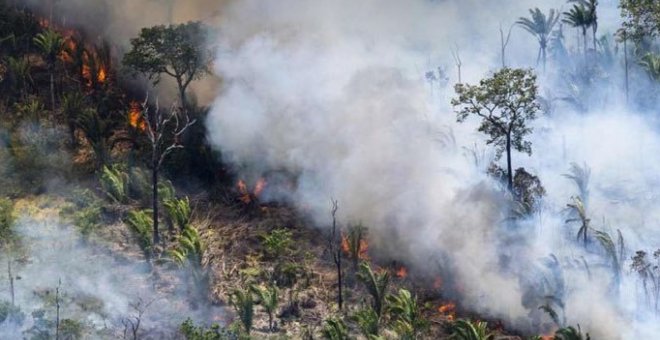 ¿Qué está pasando realmente con la Amazonia?