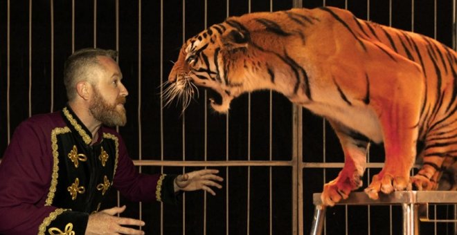 Zaragoza no autoriza un circo con animales que ya había comenzado a vender entradas