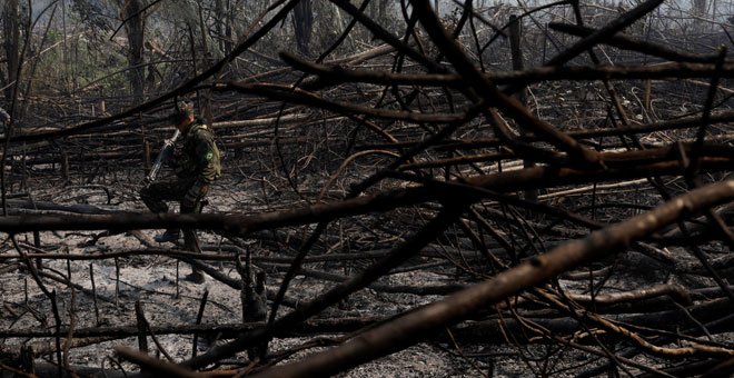 Más de 300 personas han sido asesinadas en la Amazonia para explotar sus recursos y deforestarla ilegamente en la última década