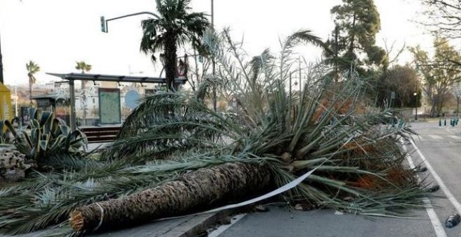 El temporal mantiene en aviso a casi toda España y activa la alerta roja en Galicia