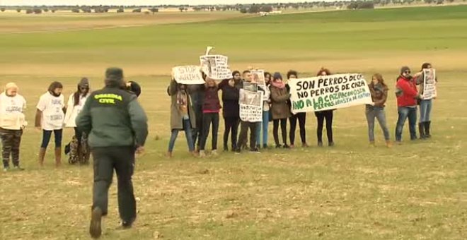 Un grupo de animalistas intentan reventar el Campeonato Nacional de Galgos en Ávila