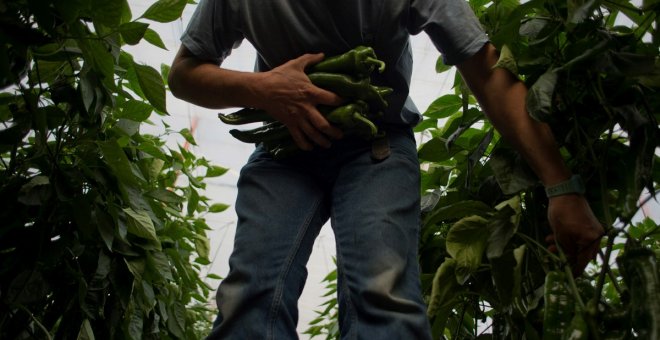 El agricultor deja paso al asalariado