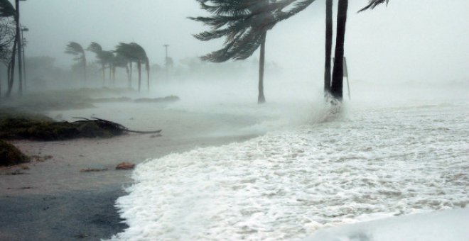 2019: el año en el que las aseguradoras se conjuraron contra el cambio climático