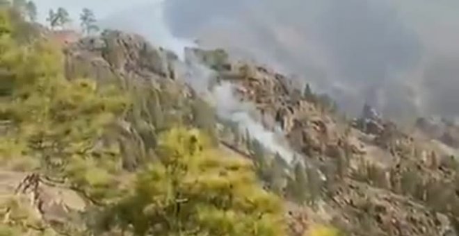 En vías de control los incendios de Gran Canaria y Tenerife