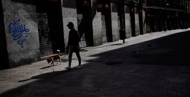 Las protectoras de animales temen una "avalancha" de abandonos tras el confinamiento