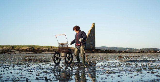 Las mariscadoras gallegas, bajo mínimos por el estado de alarma