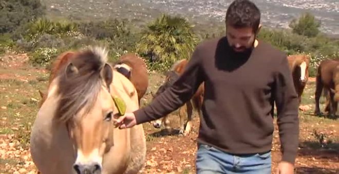 La soledad de los pastores trashumantes en plena cuarentena por coronavirus