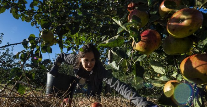 Así es el PERTE agrario aprobado por el Gobierno: 1.000 millones de euros para transformar el campo y crear 16.000 nuevos empleos