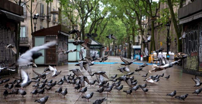 Un Sant Jordi confinado deja las Ramblas de Barcelona sin un alma