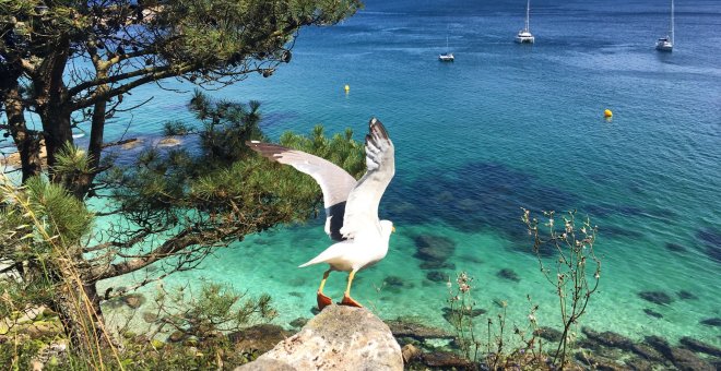 Islas Cíes: una alternativa de turismo local paradisíaca