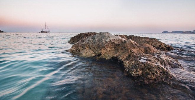 Ecologismo de emergencia - Nuestro futuro depende de un océano sano