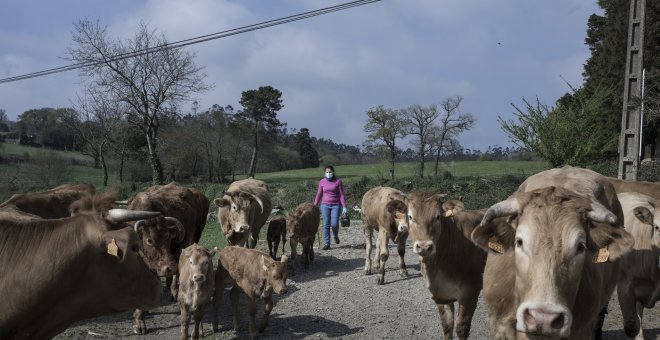 En imágenes, los que trabajan para que la comida no falte