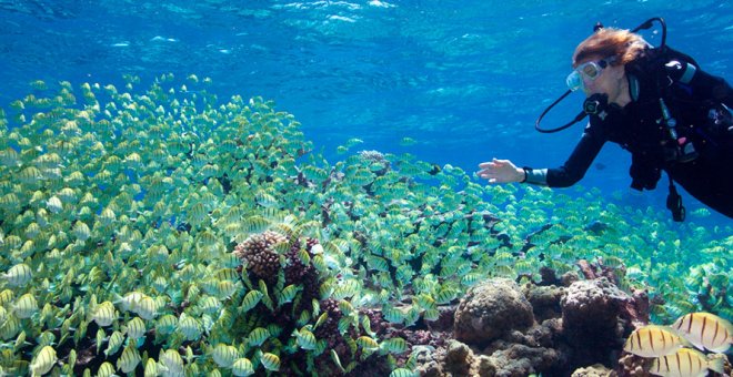 Mujeres de los mares: curiosidades