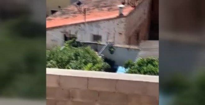 Un grupo de cabras montesas sorprende a los vecinos de una localidad zaragozana saltando sobre sus tejados