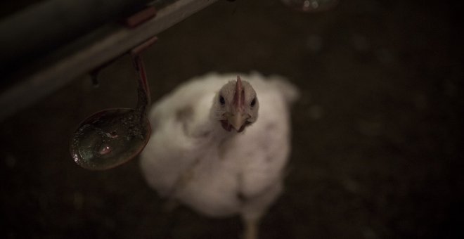 Ahora que no nos oye nadie - Comer es fácil con los ojos cerrados