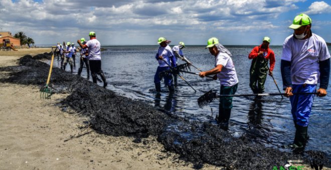 El Mar Menor, ante el riesgo de un nuevo brote (ambiental)