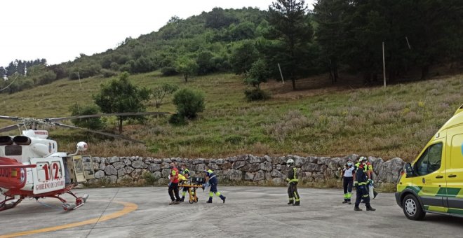 Trasladan a Valdecilla a una anciana de Liébana debido a la reacción alérgica por picadura de abeja