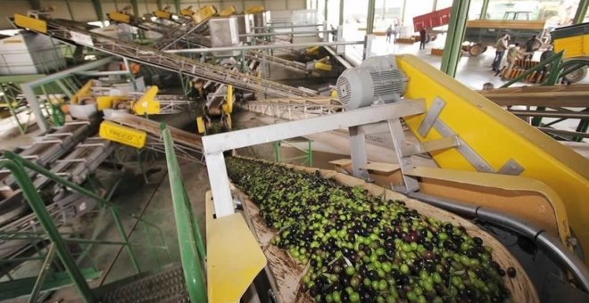 El Gobierno prohíbe almacenar aceite de otros países para no hundir los precios