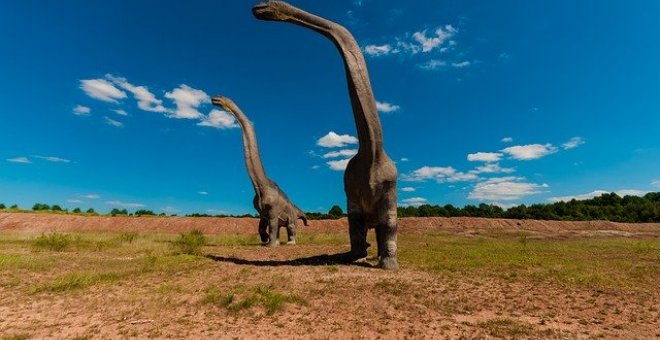 La vida solo tardó 700.000 años en recuperarse tras el fin de los dinosaurios