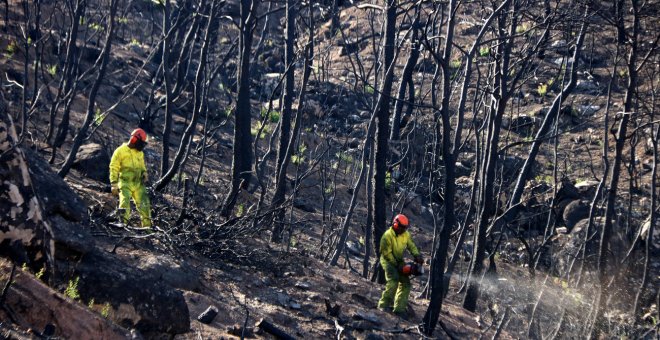 Els incendis del segle XXI podrien arrasar els Pirineus