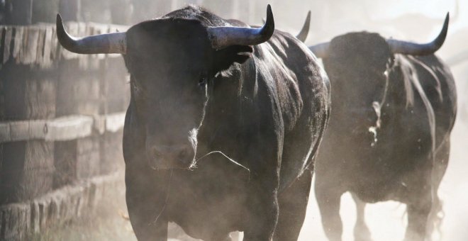 Herido en el cuello por asta de toro en la zona de la Ermita de Castro Urdiales