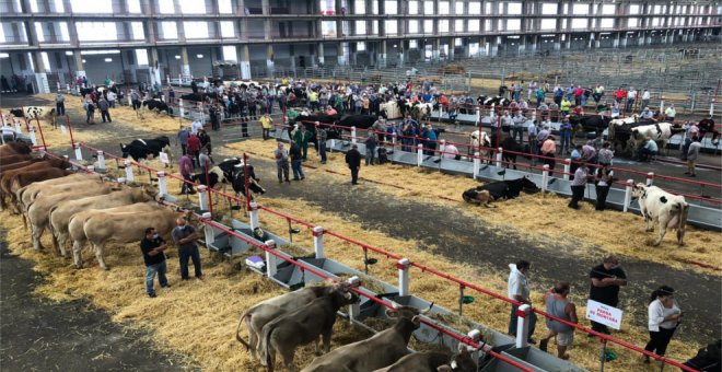 Suspendida la feria de esta semana en el Mercado Nacional de Ganados por un caso de COVID en un trabajador