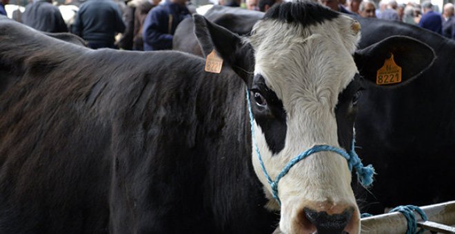 Cantabria, donde menos contratos deja el sector primario, 308 en junio