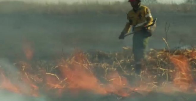 351 focos de fuego ponen en jaque el delta del Paraná en Argentina