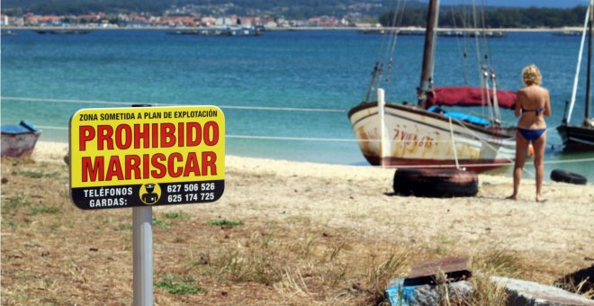 Las mariscadoras gallegas patrullan los arenales en busca de "furtivos de bañador"