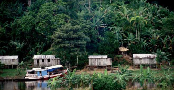 Un grito global en defensa de la Amazonía