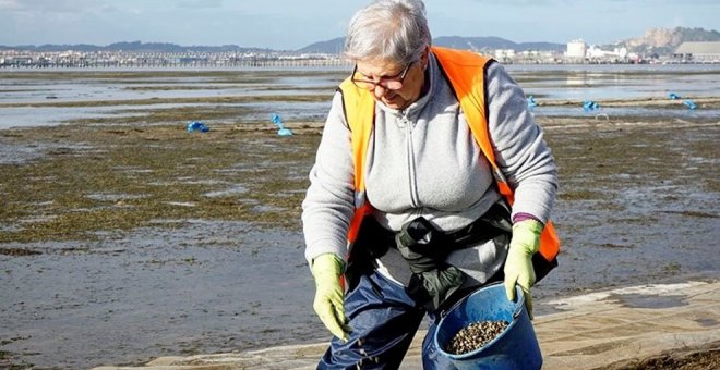 A partir del jueves se podrán solicitar las ayudas urgentes del Gobierno regional para mariscadores y empresas de acuicultura