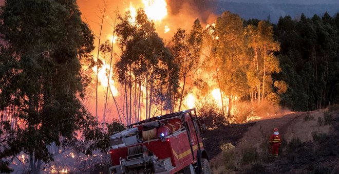 Los incendios forestales se desploman en el año de la pandemia