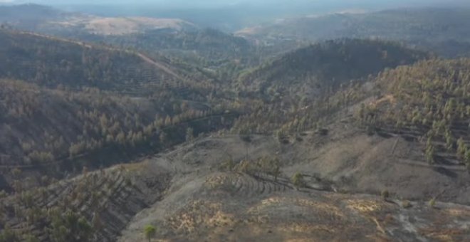 La destrucción del incendio en Huelva, a vista de pájaro