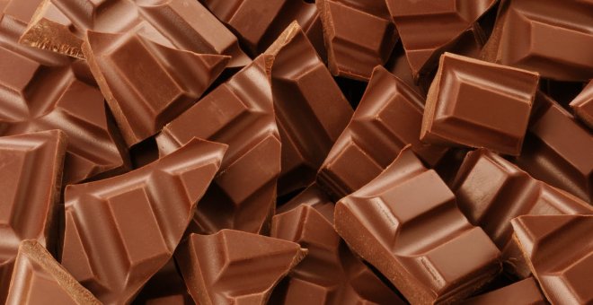 Otras miradas - Microorganismos, química y chocolate: una relación deliciosa