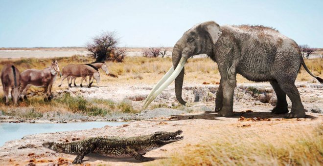 Cocodrilos africanos vivieron en València hace seis millones de años