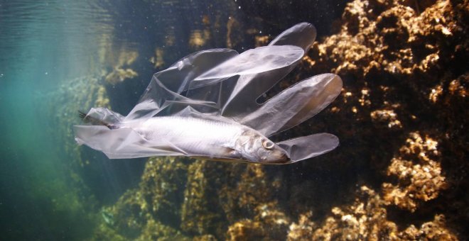 Más de 200.000 toneladas de plástico se vierten al Mediterráneo cada año