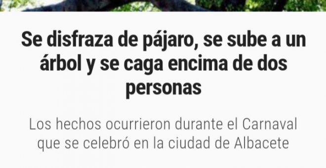 Bulocracia - El bulo del hombre disfrazado de pájaro que sube a un árbol y "caga" sobre dos personas