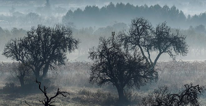 Nieblas extensas en el valle del Ebro, cuenca del Duero e interior del sureste peninsular