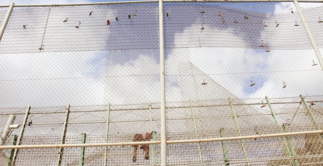 Unos 150 migrantes intentan saltar la valla de Melilla y 87 lo consiguen